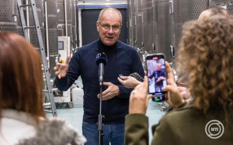 A kormány 3,8 milliárd forintot fordít a szőlő aranyszínű sárgaság megfékezésére